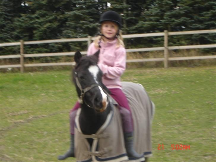 Anden særlig race Flicka GAMMELPART. - jeg savner dig. billede 3