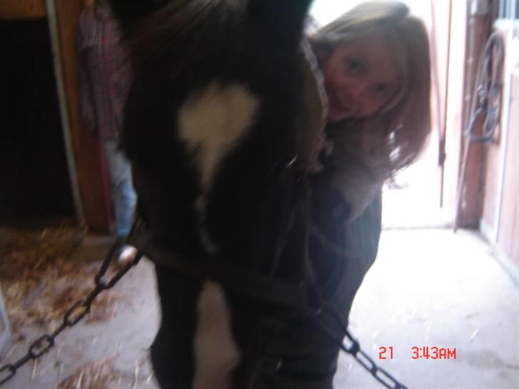 Anden særlig race Flicka GAMMELPART. - jeg savner dig. billede 5