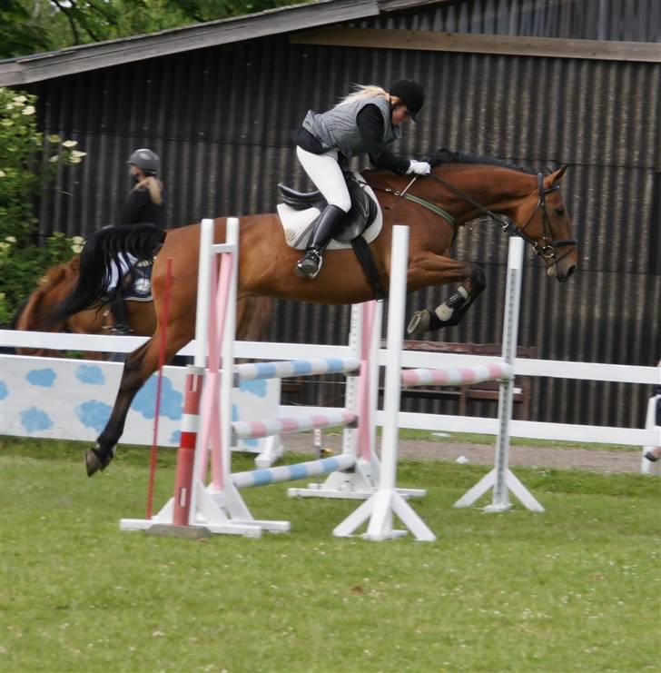 Anden særlig race Thilde *Solgt* - LC holdspring Juni 2009 <3 jeg elsker dig billede 11