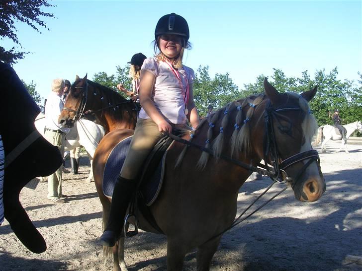 Welsh Mountain (sec A) Dankirkeby William SOLGT - "NYT" Så smuk var William på sidste dagen på ridelejeren 08´ :o) Nathasja overdriver dog lidt med smilet.... billede 5