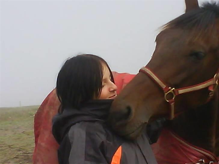 Traver Glory  billede 5