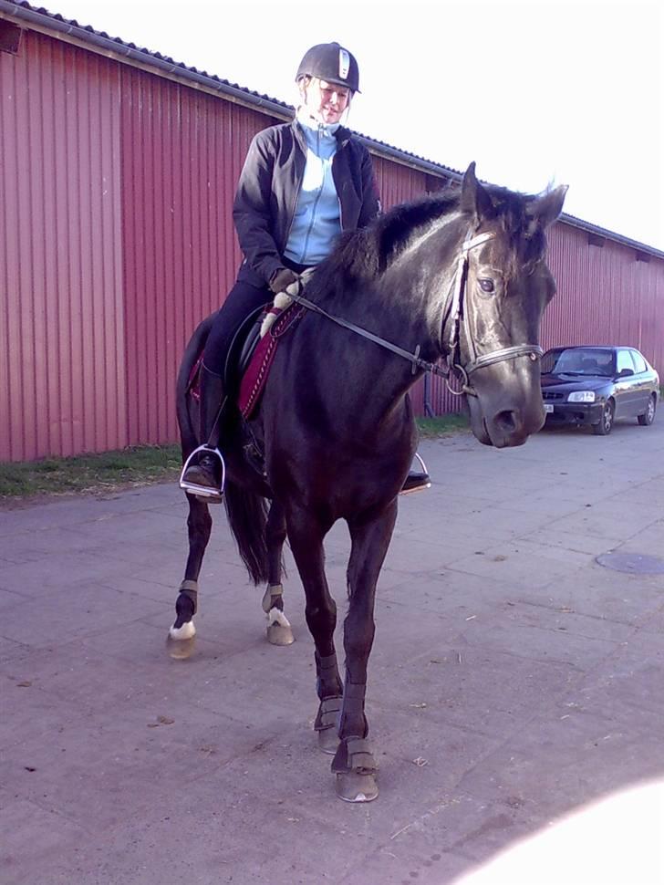 Anden særlig race Black Shadow - Solgt - det var ikke het nemt at få ham til at stå stille!!! hehe:D november 2007 billede 14