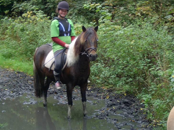 Anden særlig race | Klakkebjergs Tamara |  - Fordi jeg elsker dig ! billede 17