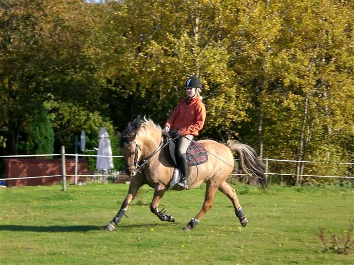 Anden særlig race Emma - Wee :] billede 16