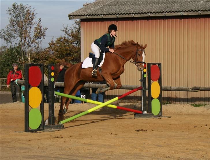 Dansk Varmblod Natjana - Lindegårdsstævne LC d. 20-21. okt. 07, vores første stævne :D Foto: Anna S. Sørensen (ASS) billede 6
