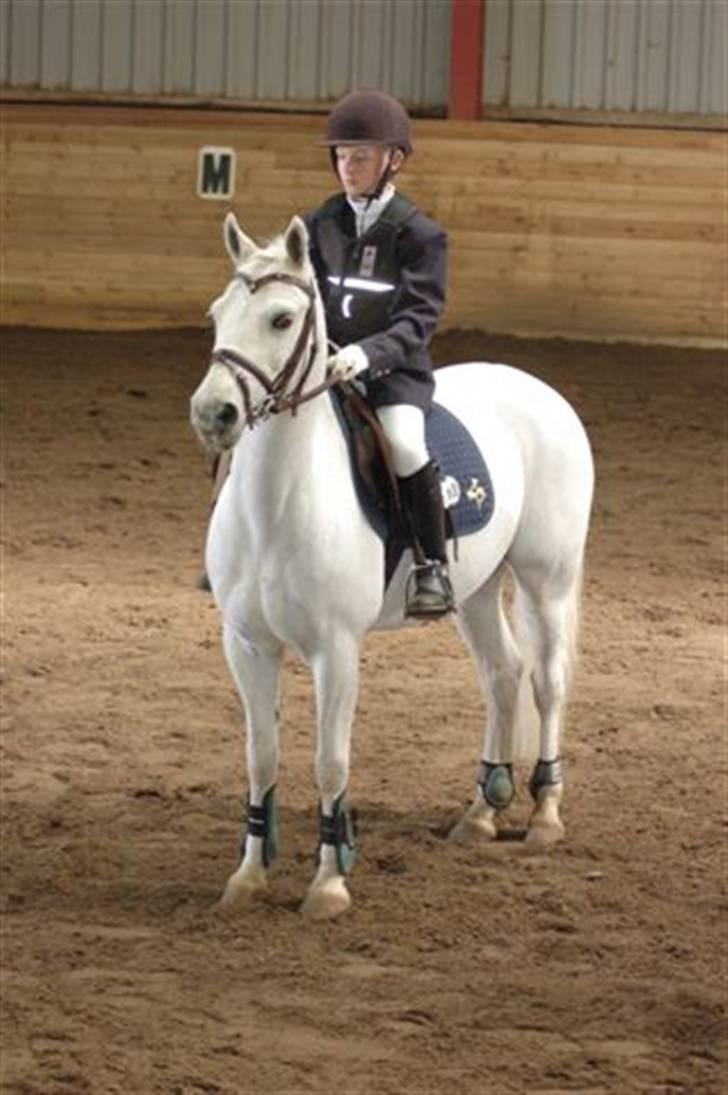 Anden særlig race Pascal - mig og skalle. billede 2