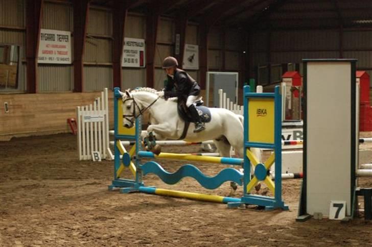 Anden særlig race Pascal - mig og pascal i LB. billede 3