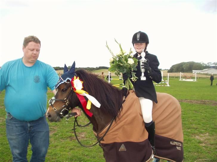 Welsh Pony (sec B) Remmevad´s pony prins - ja det er jo ikke ver dag man vinder en klubmmester billede 1