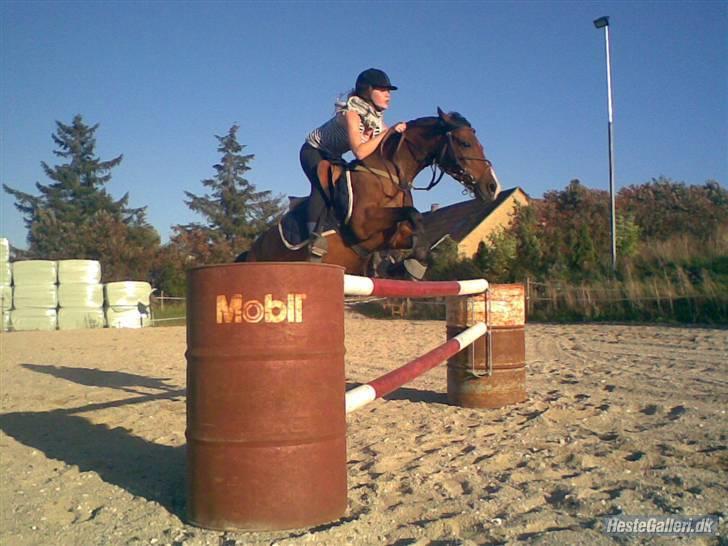 Anden særlig race Hvedesegaardens Boogie  - træning.. Taget af Christina. billede 2
