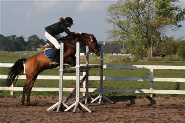 Anden særlig race Hvedesegaardens Boogie  - højdespringning. billedet er taget af Vannby.. jeg har købt billedet, også SCANNET det over på min computer. billede 16
