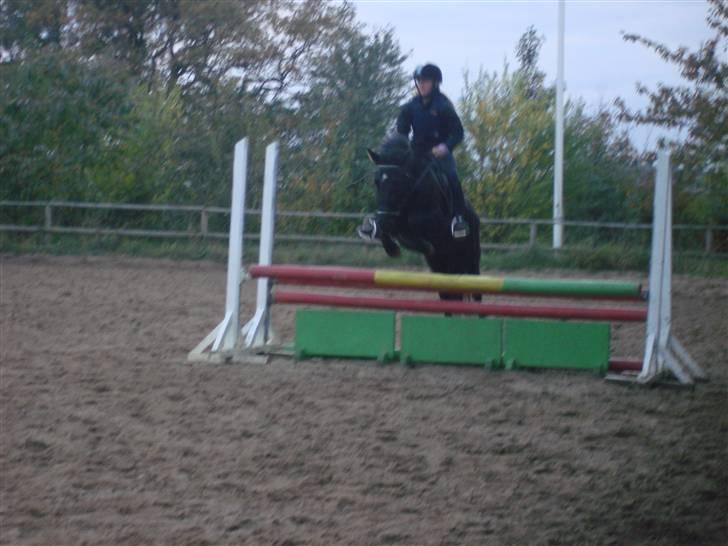 Anden særlig race Shiva <3 - En okse til springtræning! :D God Shiva <3  billede 7