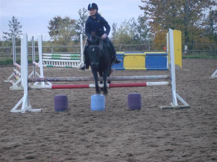 Anden særlig race Shiva <3 - En lille Lodret! :D billede 8