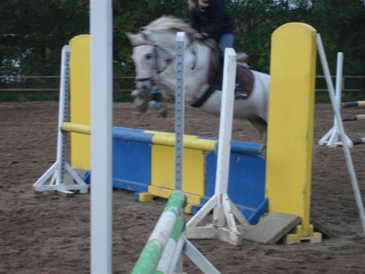 Connemara pilgaard`s silver stone  - Vi flyver over "snenskeren" Hehe:D billede 17