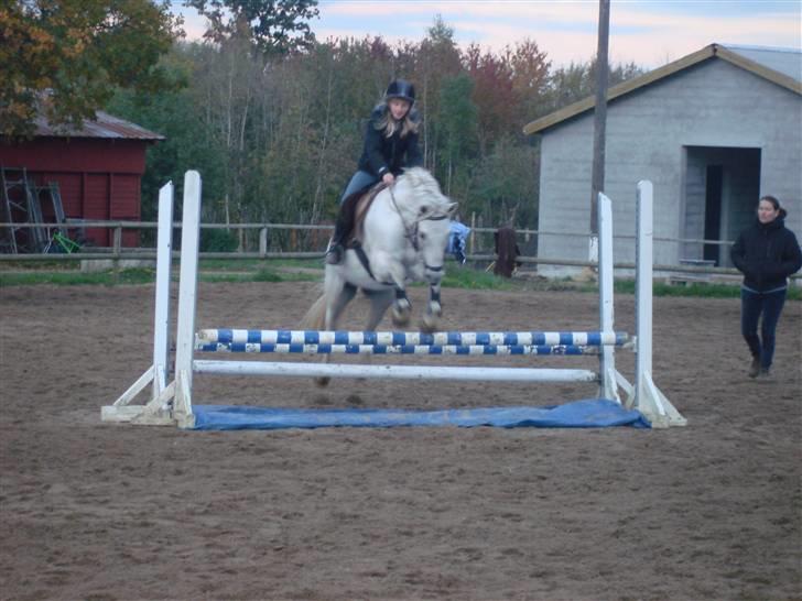 Connemara pilgaard`s silver stone  - Jubii, vi er lige over vandgraven:D billede 18