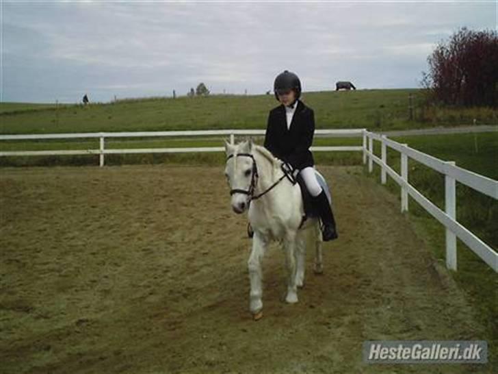 Anden særlig race Blakke<3 - Blakke og mig til stævne d.13 oktober 2007, vi fik en anden plads JUHU:) billede 1