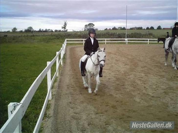 Anden særlig race Blakke<3 - Blake og mig til stævne d.13 oktober 2007, vi fik en anden plads JUJU :)  billede 2