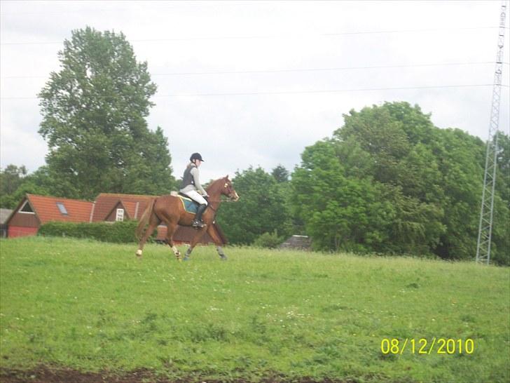 DSP NYHOLMS SINATRA - NYT juni 2010 billede 7