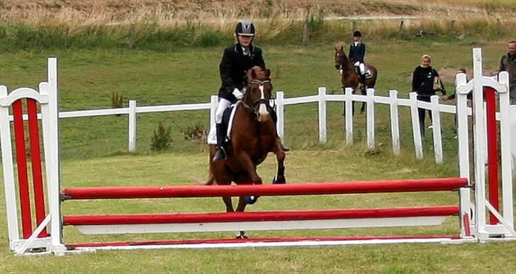 DSP NYHOLMS SINATRA - spring stævne på Stenlille rideklub  ( nr 1 )  billede 10