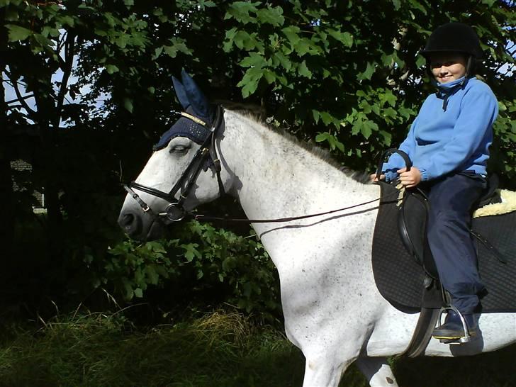 Anden særlig race Nikolette(solgt) - min veninde oppe på hende:) billede 15