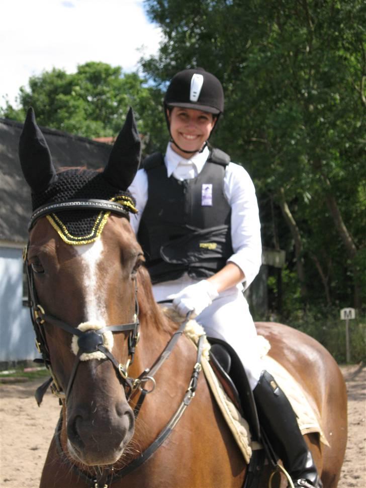 Dansk Varmblod Dharma (Har ny ejer) - Dharma løsspringes :o) billede 7