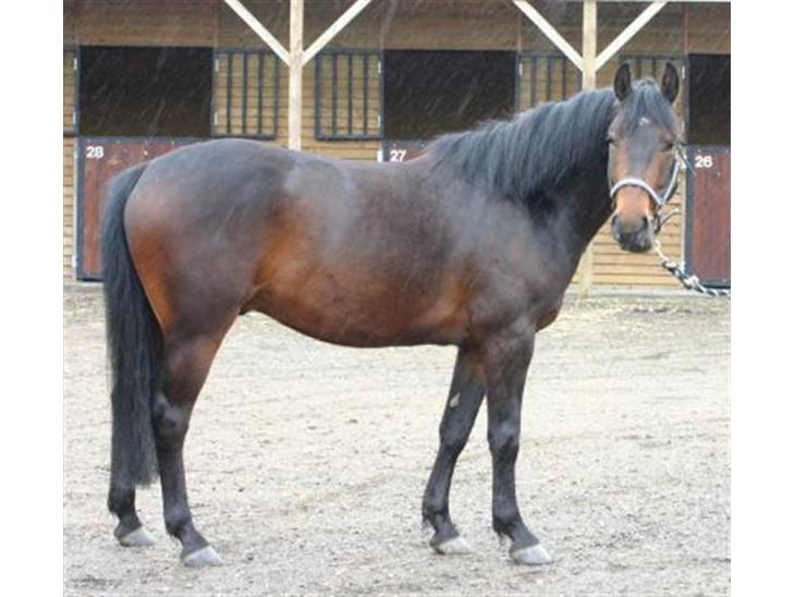 {{currentPhoto.altText}} billede {{currentPhoto.number}}