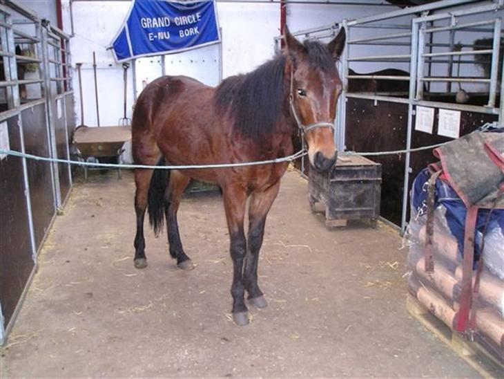 {{currentPhoto.altText}} billede {{currentPhoto.number}}