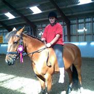 Anden særlig race Zari