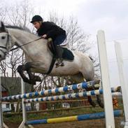 Connemara / Oldenborger | Shakira