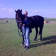 Dansk Varmblod Quark, evige græsmarker