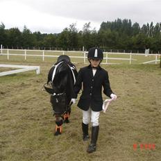 Dartmoor frida Dunemose *solgt