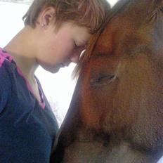 Anden særlig race Fillizante