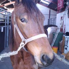 Traver Kimerbly Blaabjerg