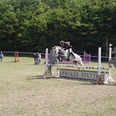 New Forest Bølle-A-pony spring 