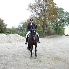 Oldenborg  Nicy gl. part