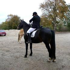 Oldenborg  Nicy gl. part
