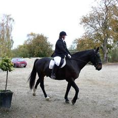 Oldenborg  Nicy gl. part
