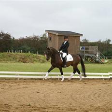 DSP bento(var låne pony)