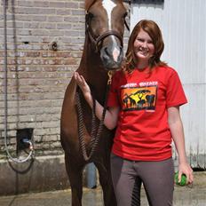 Arabisk fuldblod (OX) Ffazeehrah