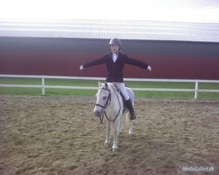 Anden særlig race Blakke<3 - Blakke og mig til stævne<3 vi vandt en anden plads..hehe..d.13 oktober billede 7