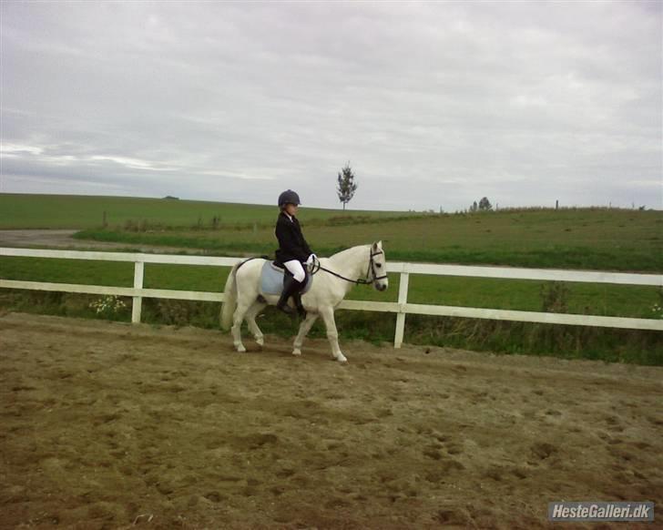 Anden særlig race Blakke<3 - Blakke og mig til dressur stævne vi fik en anden plads:) d.13 oktober billede 11