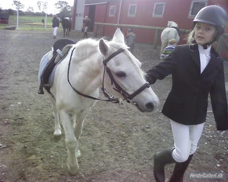 Anden særlig race Blakke<3 - Blakke og mig lige inden vi skal ud og opvarme til stævnet:) vi fik en anden plads. d.13 oktober billede 12