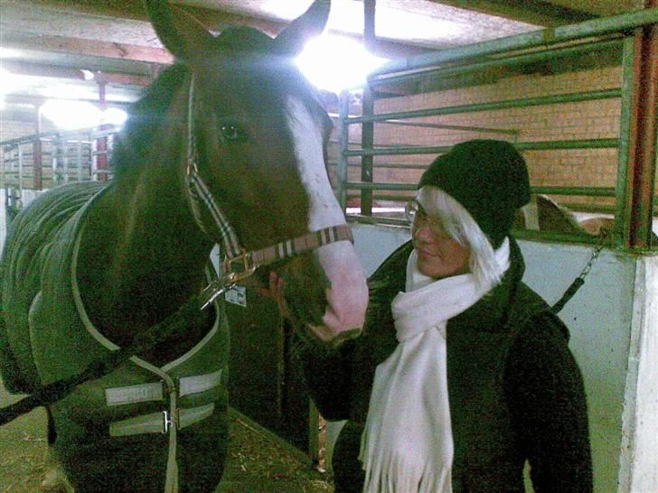 Anden særlig race søgaardens bay mandy bowl billede 6