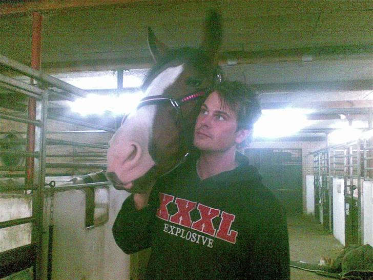 Anden særlig race søgaardens bay mandy bowl billede 13