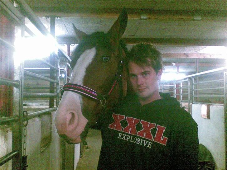 Anden særlig race søgaardens bay mandy bowl billede 15