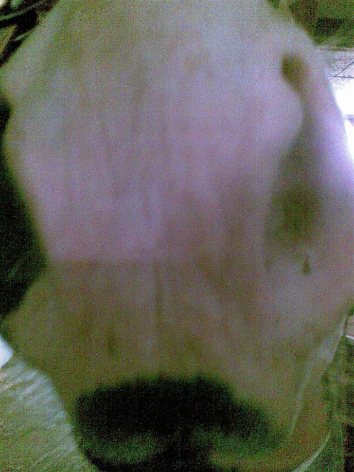 Anden særlig race søgaardens bay mandy bowl billede 16