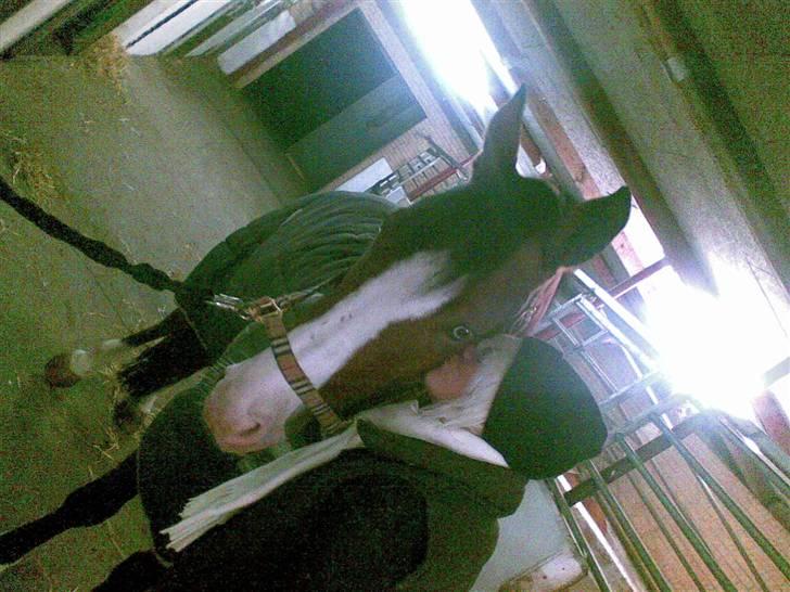 Anden særlig race søgaardens bay mandy bowl billede 17