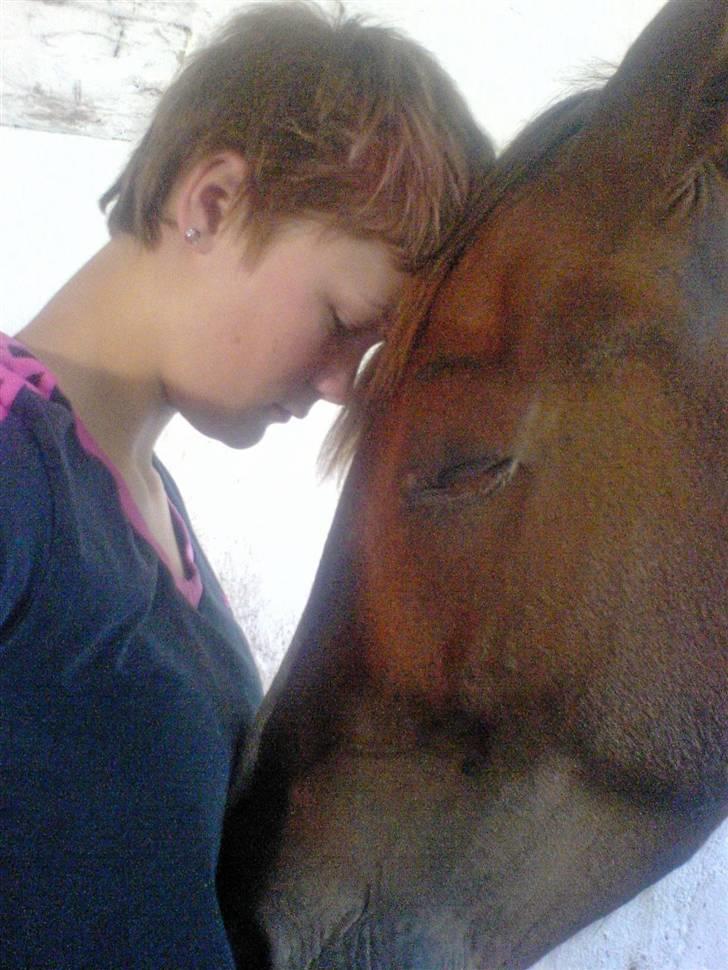 Anden særlig race Fillizante - Jeg Elsker Det Billede, :D det er så sødt den sover, den var slet ikke til at vække igen ;D billede 2