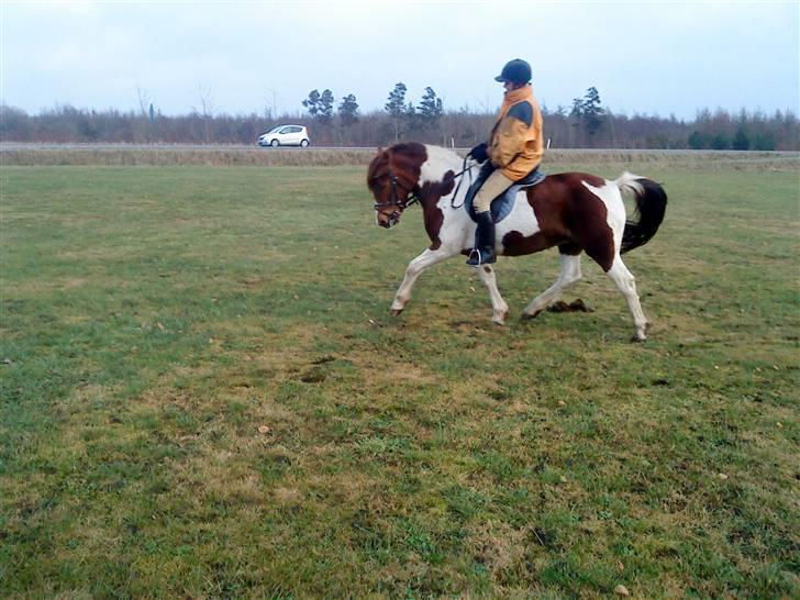Anden særlig race Fillizante - en meget frisk dag, en sjælden en af slagsen billede 4
