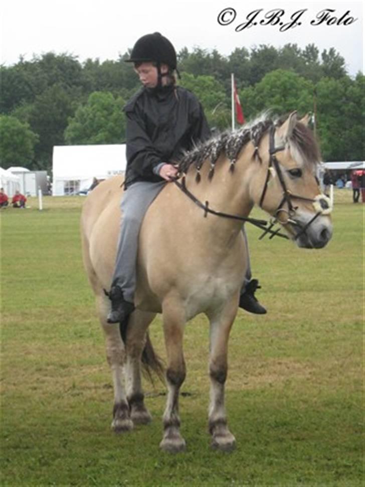 Fjordhest James   - Mig og james på odense børnedyrskue 07:)<333 billede 6
