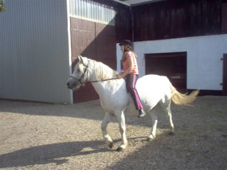 Anden særlig race Sibon - sibon og mig :D rigtig gamel billede... savner dig :´( billede 2